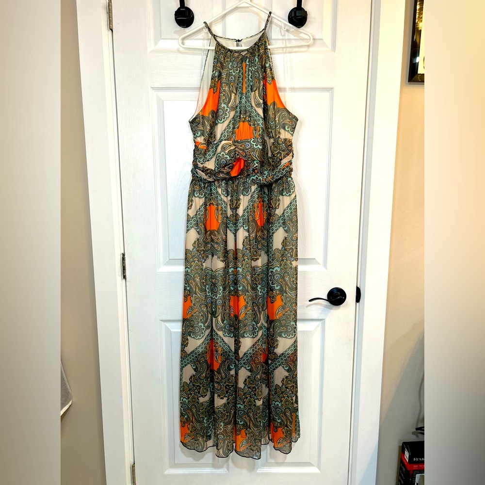 Sleeveless Paisley Printed Mesh Maxi Dress